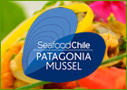 Patagonia Mussel