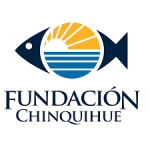 logo fundacion chinquihue