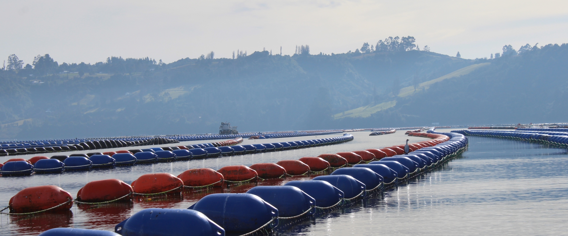 industry image